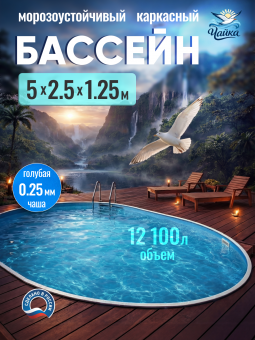 Бассейн ЧАЙКА овальный вкапываемый 5 х 2,5 х 1,25 м (тёмный шоколад RAL 8017) Чаша голубая 0,25 мм. фото